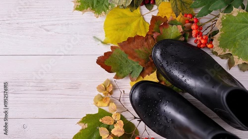 Black rubber boots step on autumn leaves, space for text