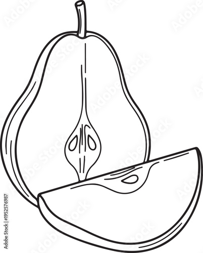Pear Cut in Half Showing Seeds and Core Line Drawing Isolated