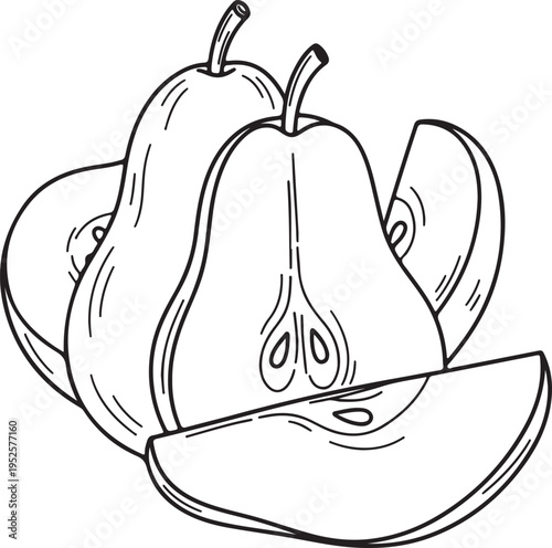 Pear halves and slices line art illustration isolated on white background