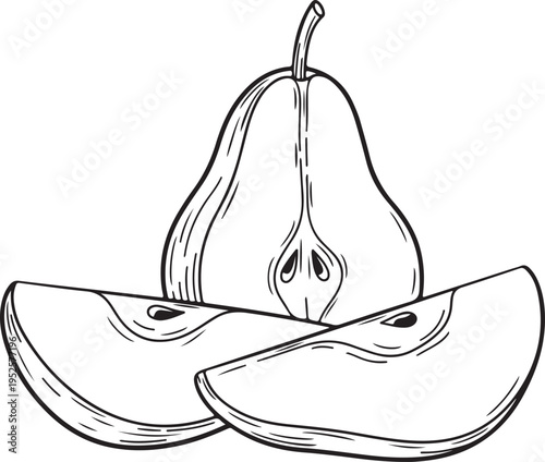 Pear Slices and Half Fruit Line Drawing Illustration