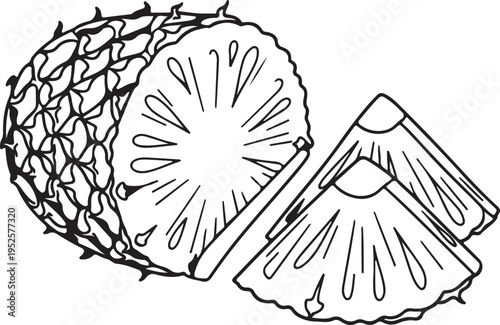 Pineapple Half with Slices Cut Out Line Art Illustration Isolated on White