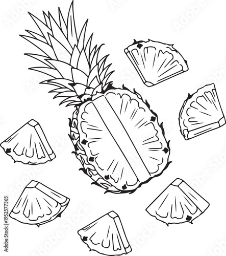 Pineapple Slices and Half Fruit Isolated on White Top View Clean Line Art