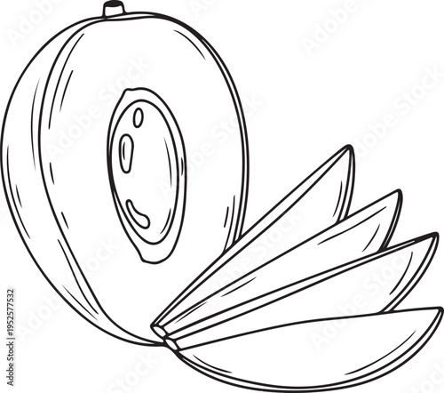 Plum fruit half cut with slices line art isolated on white healthy food illustration