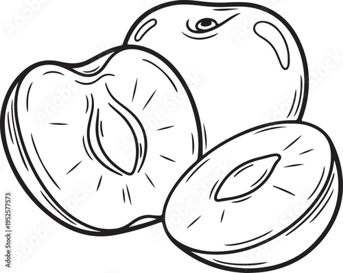 Plum Fruit Outline Drawing Whole and Halved with Pit Visible Isolated on White Background