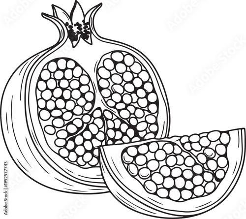Pomegranate Half and Slice with Arils Line Art Isolated on White