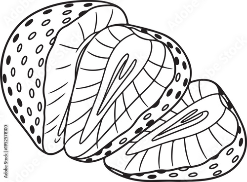 Sliced Strawberry Sections with Seeds Detail Line Art Isolated on White Background Stock Illustration