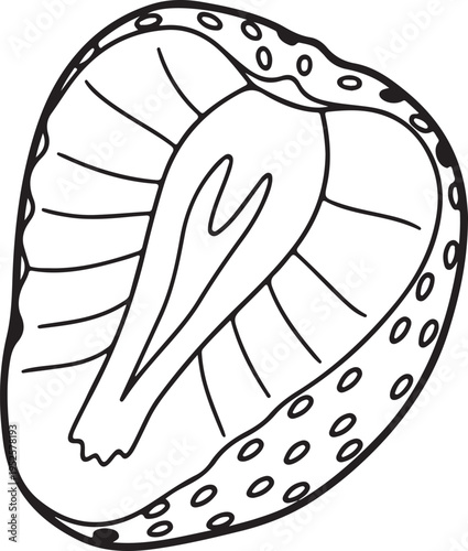 Strawberry cross section line art fresh fruit detail simple vector illustration isolated on white background