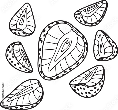 Strawberry Slices Outline Illustration Food Art Healthy Eating Summer Fruit Isolated on White