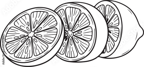 Three Sliced Lemons Outline Close-up Detail Fresh Citrus Fruit