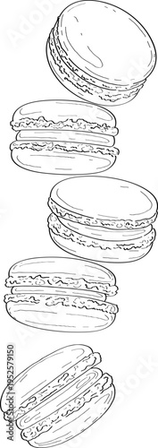 High quality linear realistic vector illustration of Macarons.  Ideal for menus, restaurant, coffee, pastry, sweets shop and product label design. 