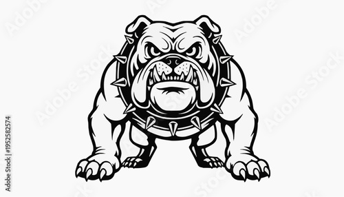 Bulldog mascot illustration with spiked collar fierce expression and strong aggressive stance