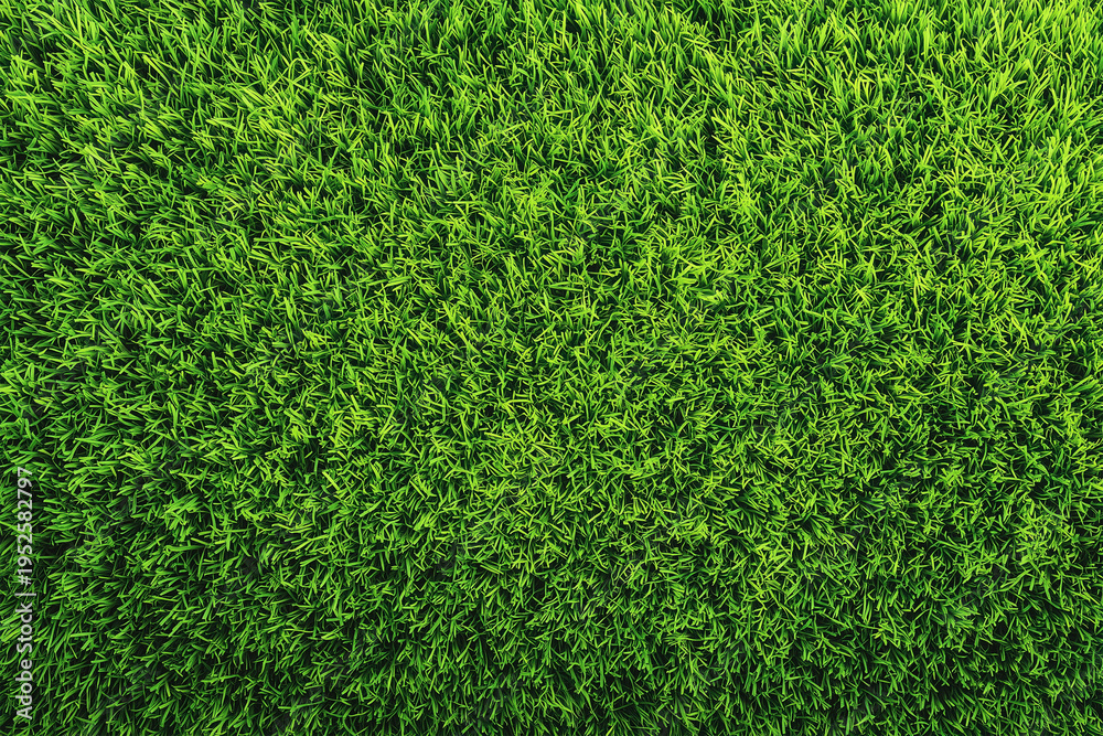 Fototapeta premium Grass Background Top View with Freshly Cut Healthy Green Field and Paper House, Nature and Home Concept