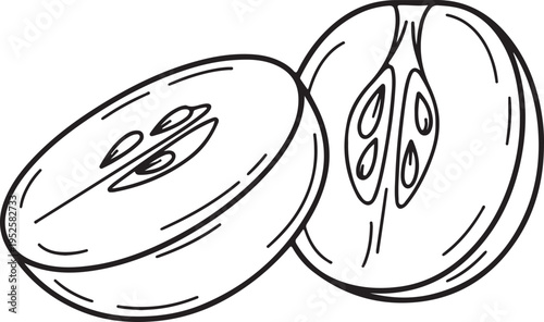 Halves Cut Slices Seeds Detail Line Drawing Stock Illustration