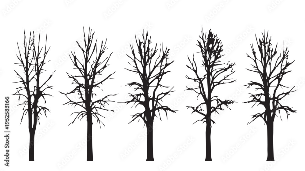 Obraz premium Stylized Collection of Bare Winter Tree Silhouettes for Graphic Design Projects