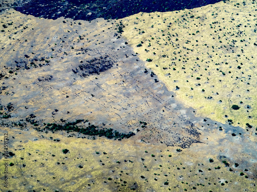 Foto The Great Migration