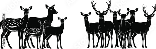 Deer silhouette illustrations, stag doe fawn artwork, wildlife nature design, black white figure set, forest animal stylized collection