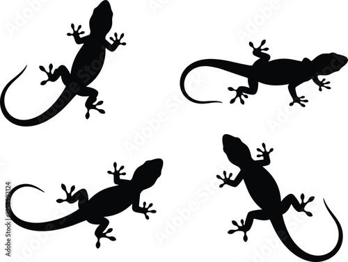 Black gecko lizard silhouette collection set of four tropical reptile reptiles predator animals isolated on white background for vector graphic design and nature art