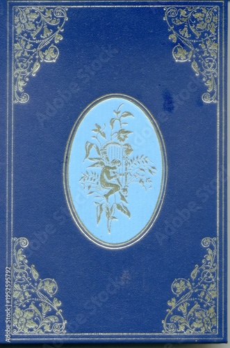 Vintage Blue Book Cover with Golden Ornaments and Fantasy Fairy Illustration in Oval Medallion