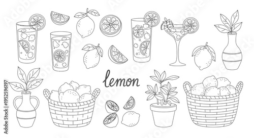 lemon illustrations collection hand-drawn with fresh citrus fruits refreshing drinks and botanical elements.