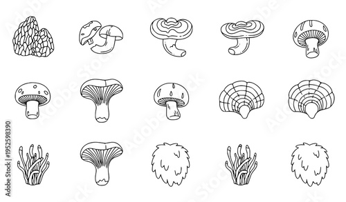 Minimal medicinal mushroom seamless pattern vector with outline fungi illustration for natural wellness branding