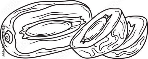 Date Fruit Sliced and Whole Line Drawing Healthy Food Illustration