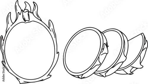 Dragon Fruit Sliced and Whole Outline Drawing Isolated on White