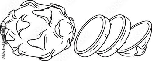 Dragon Fruit Sliced and Whole Outline Vector Illustration