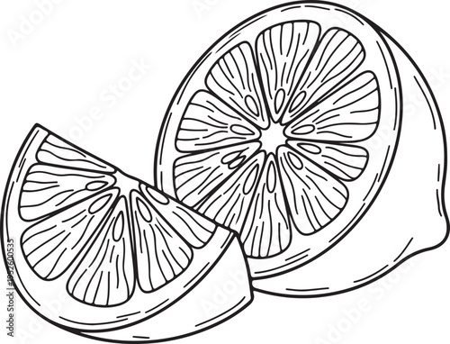 Lemon halves and slice black and white line art isolated on white background