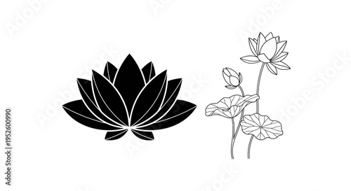 Stylized Lotus Flower Vector Graphics for Sacred and Artistic Designs