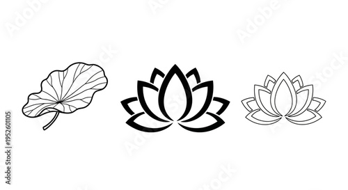 Black and White Lotus Flower and Leaf Vector Icons Collection