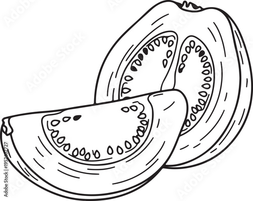 Tomato Slice and Half Line Art Illustration Fresh Food Detail Healthy Ingredient