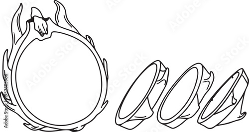 Dragon Fruit Slice and Whole Outline Illustration