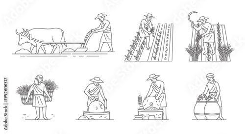 Set of 7 agriculture icons vector