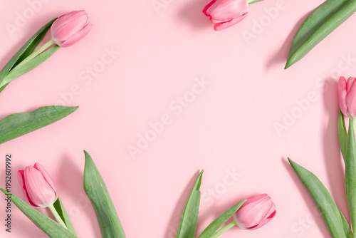 Pink tulips with green leaves on pastel pink background. Flat lay floral composition with copy space. Minimalist spring concept for Mother's Day, Women's Day or Easter greeting card decoration.