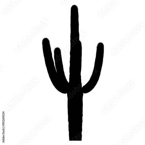 Black silhouette of a cactus plant.