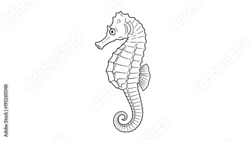 Detailed black and white line drawing of a seahorse, suitable for coloring books, educational materials, or marine life themed icons.