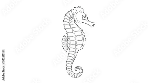 Detailed black and white line art illustration of a seahorse swimming vertically on a plain white background for coloring or design.