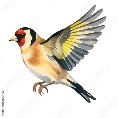 Great spotted woodpecker and great tit parus major isolated on white background with colorful feathers and wings