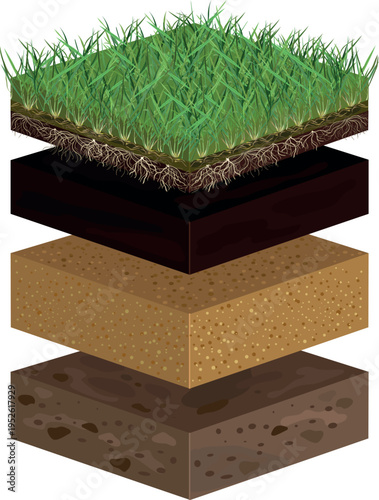 Lawn soil profile. Scheme of a lawn installation, revealing layers soil
