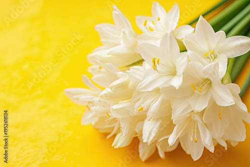 A bouquet of white daffodil flowers with green stems, placed on a bright yellow background