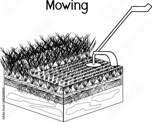Black and white lawn mowing diagram. Mowing process illustration showing grass cut layers and soil structure