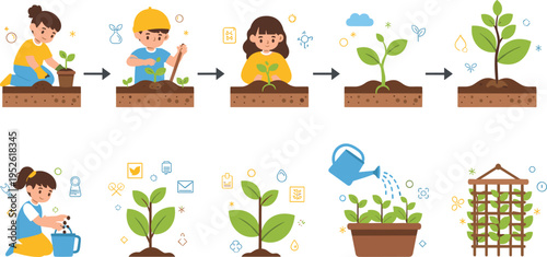 Plant growth stages and gardening process vector illustration with kids planting seeds, watering plants and nurturing seedlings step by step