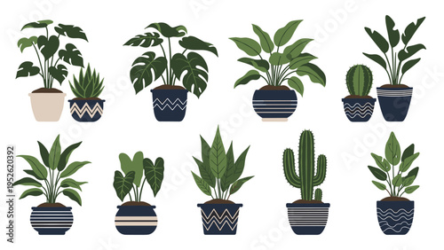 Large collection of diverse indoor house plants in various decorative pots, featuring different leaf patterns and cactus species.