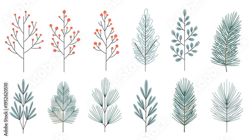 Assortment of botanical illustrations showcases various types of branches, some with green needles and others with vibrant red berries or leaves.