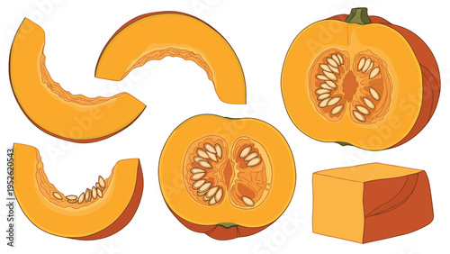 Variety of pumpkin preparations are shown including a whole halved pumpkin with seeds, several thick slices, and a solid orange cube of flesh.