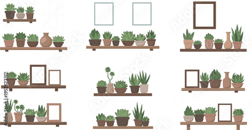 Indoor plants on shelves vector set with potted greenery, home decor arrangements and minimalist botanical interior illustration collection