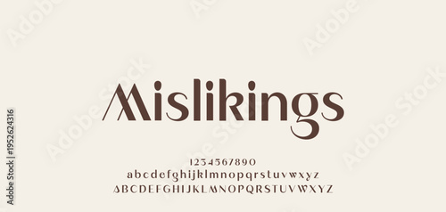 Lettering Minimalist Fashion. Elegant alphabet letters serif font and number. Typography fonts regular uppercase, lowercase.