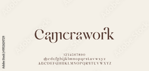 Lettering Minimalist Fashion. Elegant alphabet letters serif font and number. Typography fonts regular uppercase, lowercase.