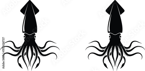 Two black squid silhouettes with long tentacles and fins isolated on white background for marine life ocean nature design vector