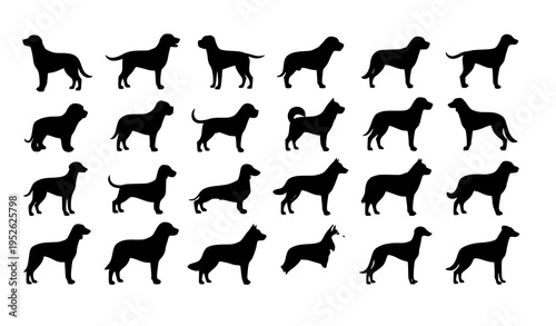Dog breeds silhouettes vector set in grid layout with black isolated canine shapes for design